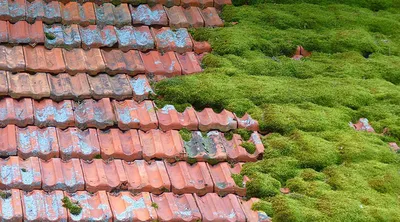 Nettoyage Toiture pau