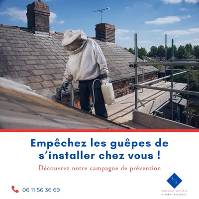 Guêpes sous tuiles 