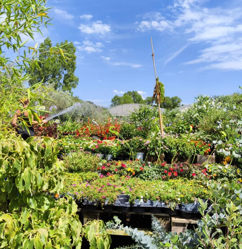 jardinage entre aix et marseille. 