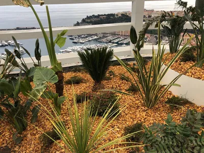 Entretien d'espace vert sur toiture à Monaco