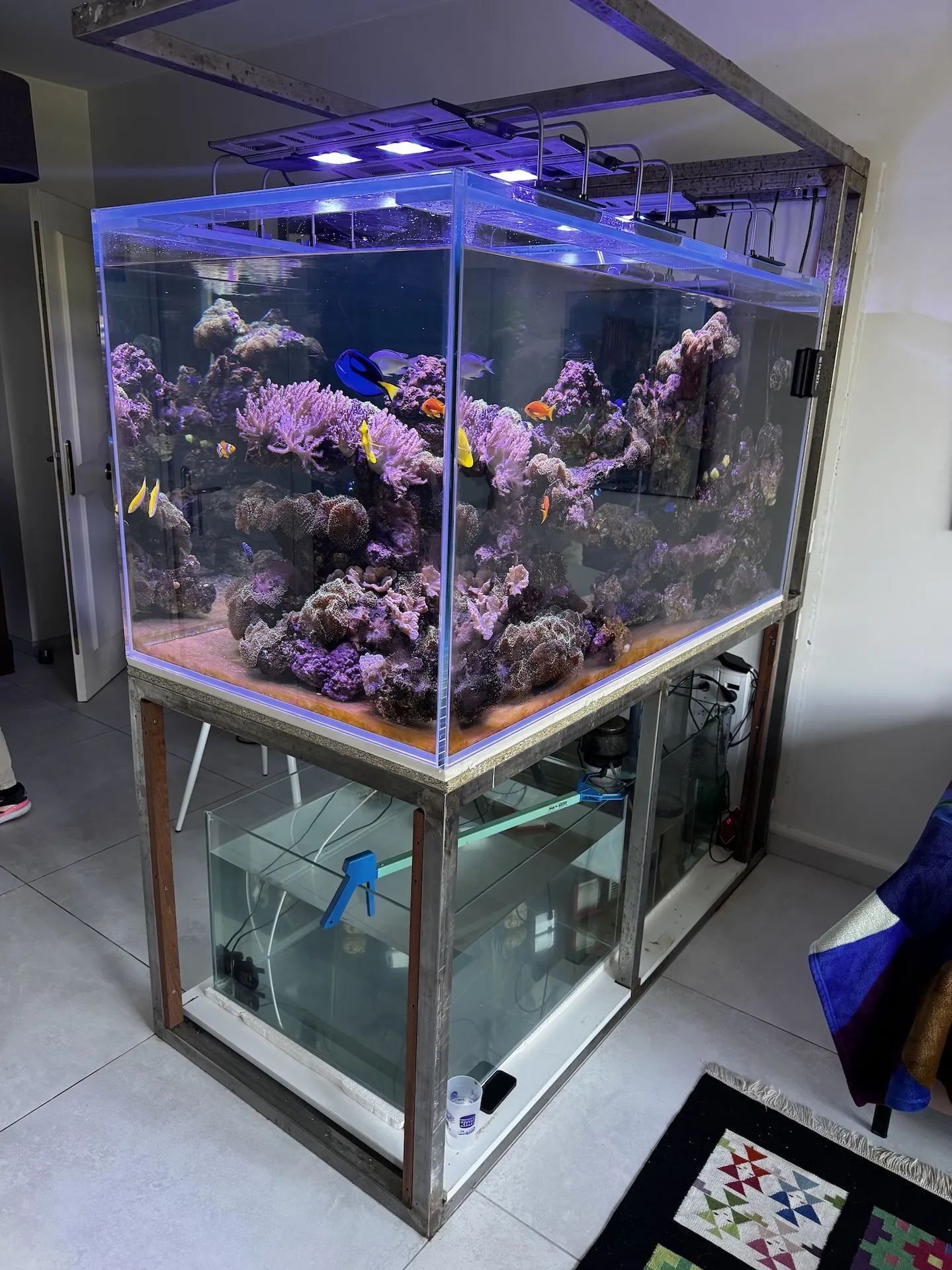 Mise en eau d'un aquarium grande dimensions à LYON