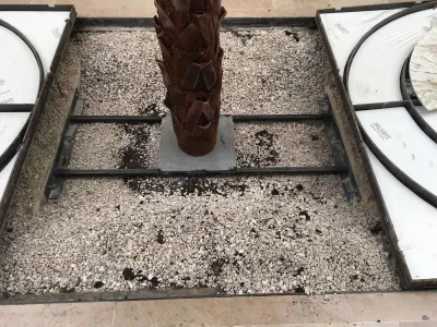 Plantation de palmiers stabilisés en galerie marchande sur Avignon