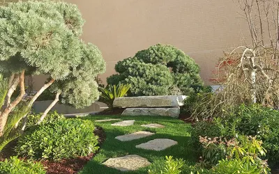 Massif avec pelouse à Monaco