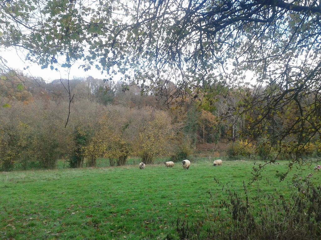 MAISON DE STYLE NORMAND Entre PONT L'EVEQUE ET LISIEUX
