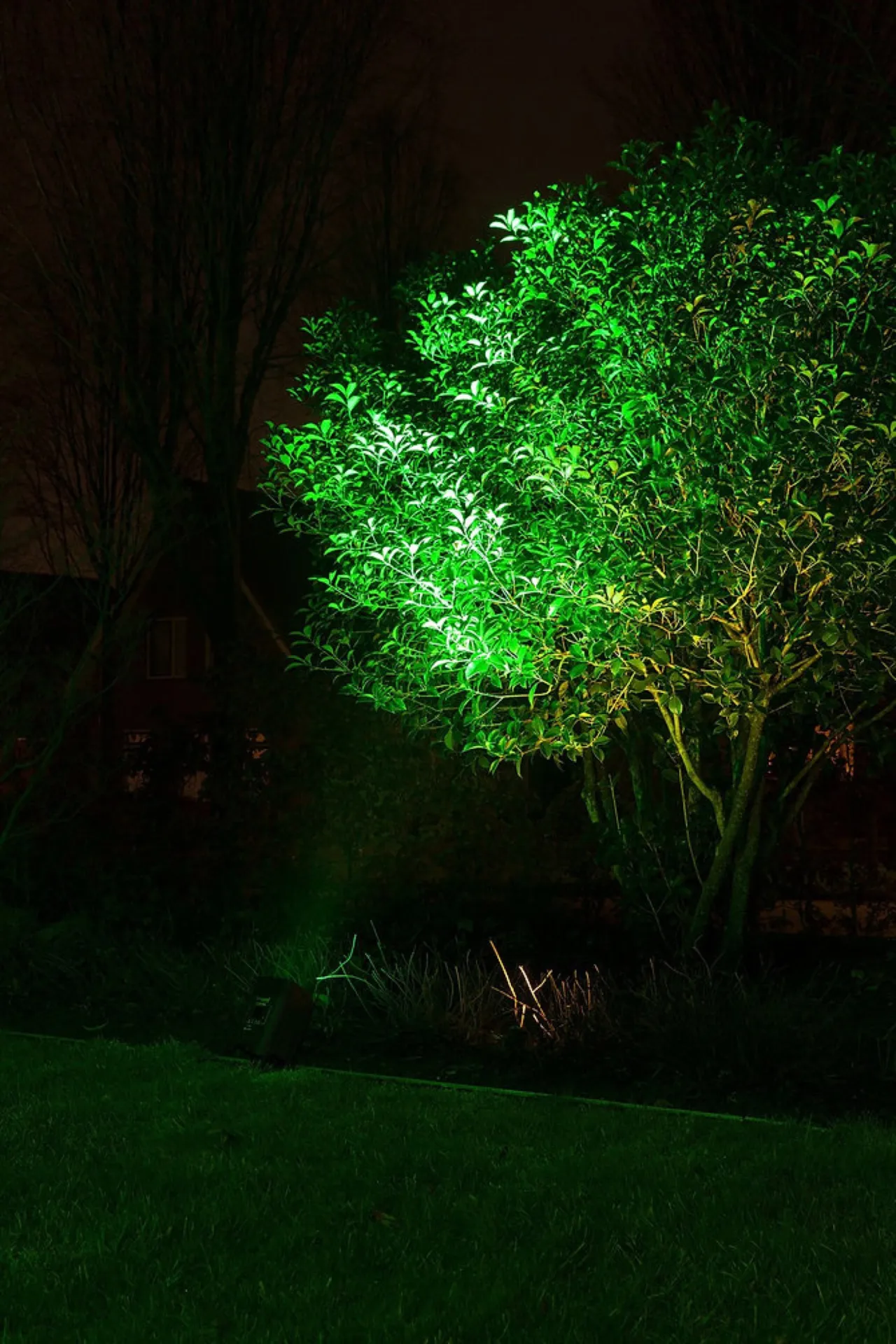 location projecteurs leds 72w  sur batteries à cannes dans les alpes maritimes