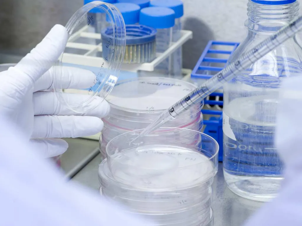 photographe spécialisé pour centre de recherche en santé salle de culture manipulation