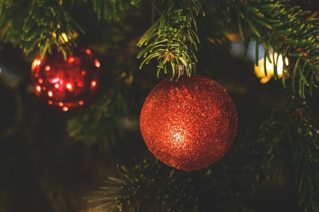 Congé noël 2023 MVC Construction Gujan Mestras 33