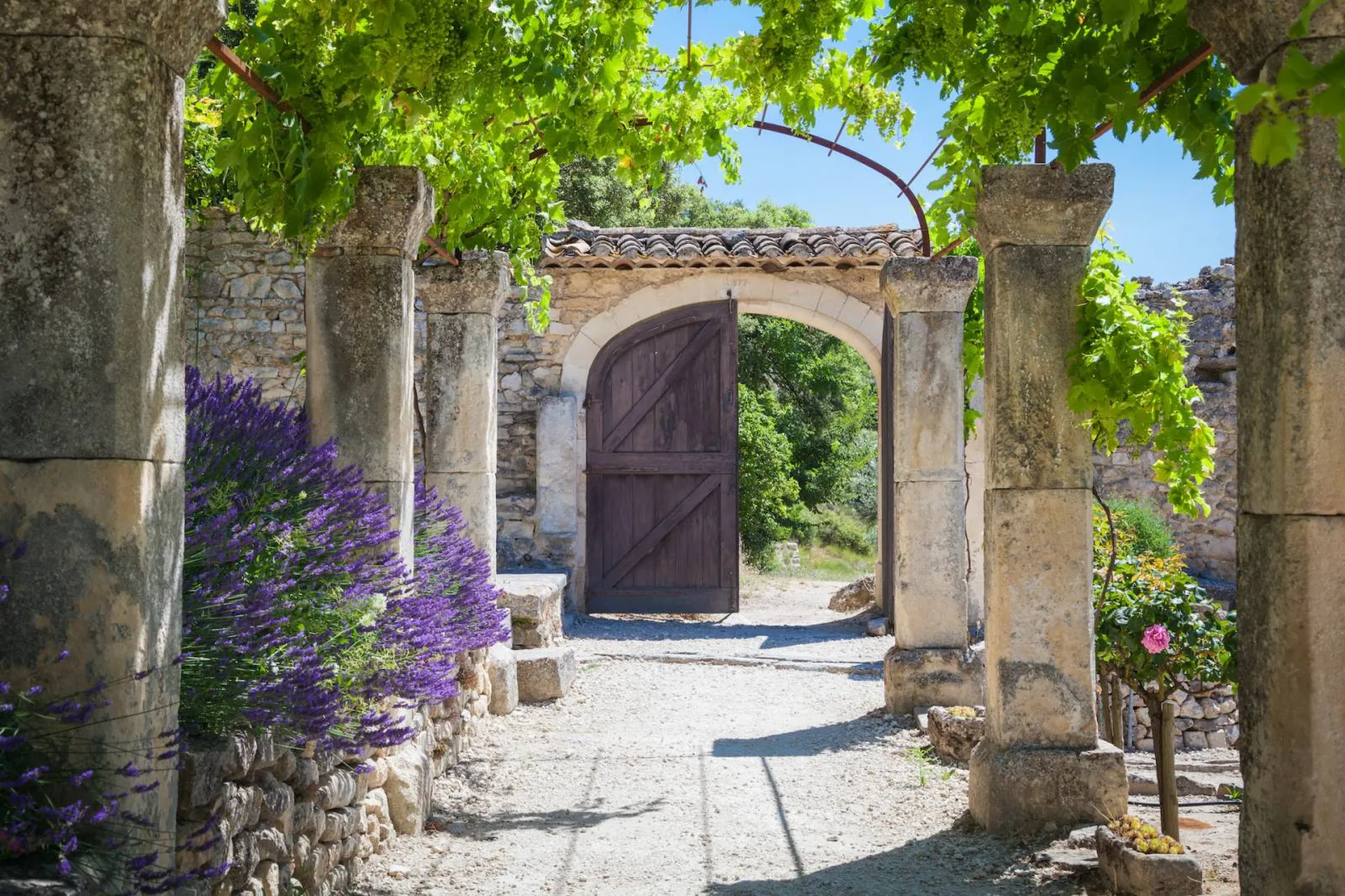 Tailor made services in Provence