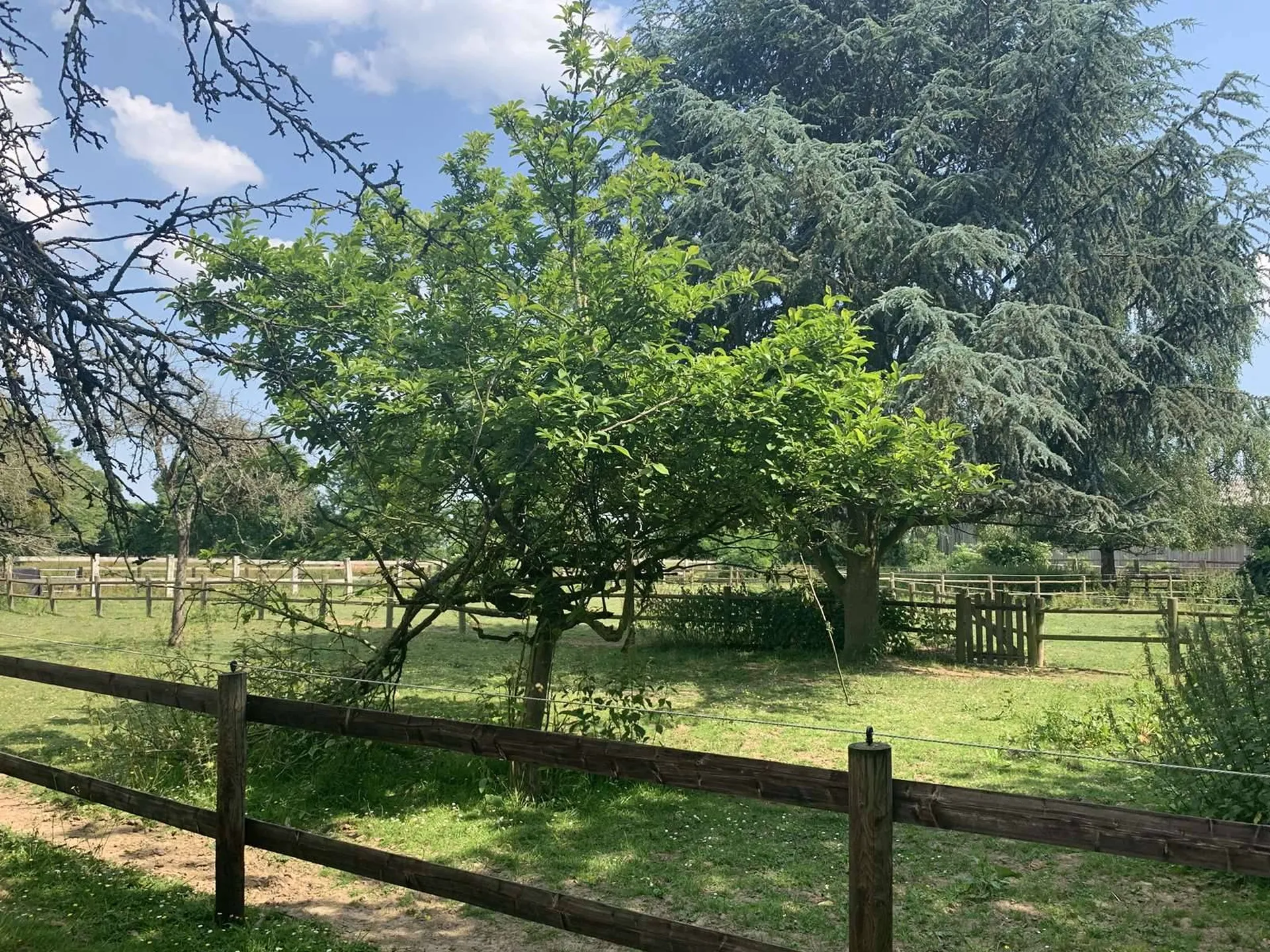 A vendre PAYS d’AUGE du CALVADOS : REGION LISIEUX : STRUCTURE EQUESTRE POUR CHEVAUX DE SELLES SUR 10 HA