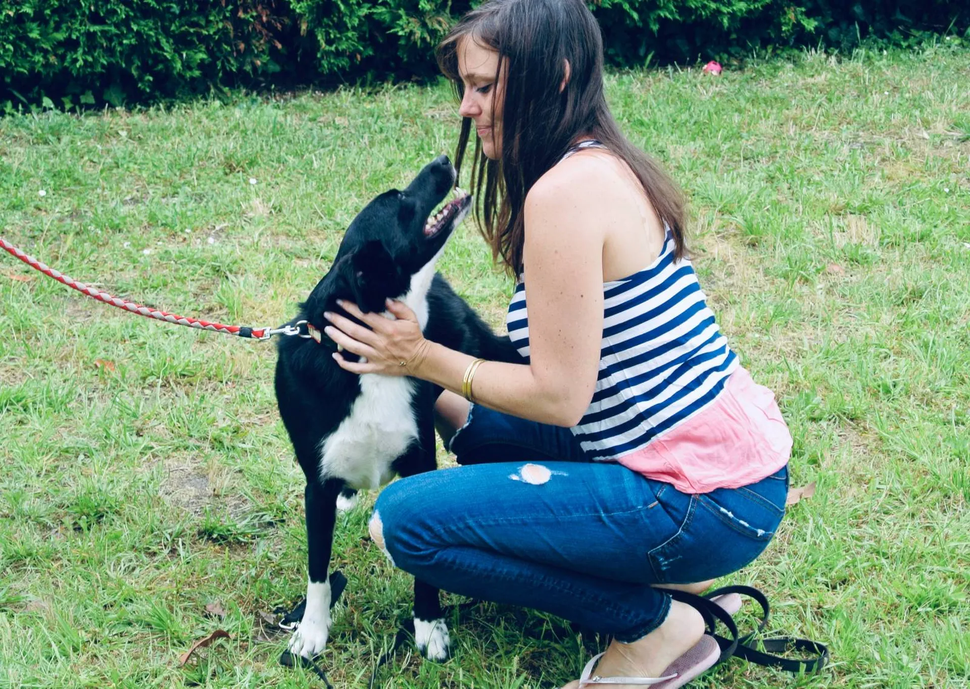 meilleur spécialiste du comportement canin aquitaine