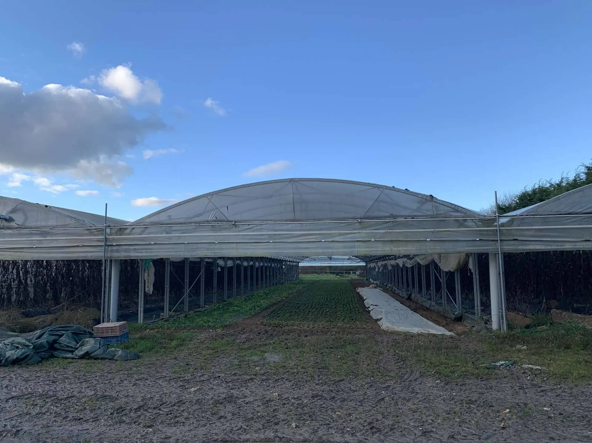 Région NORMANDIE (CALVADOS) : Entre LISIEUX et PONT L'EVEQUE : Exploitation agricole (maraîchage) sur 13 HA