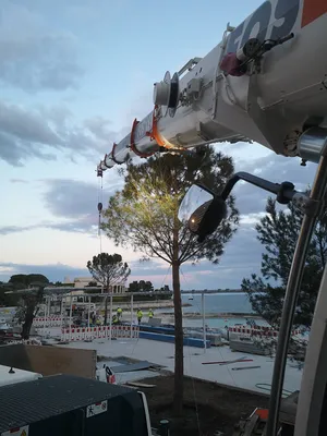 Travail à la grue mobile pour plantation des arbres à Monaco