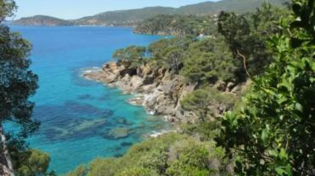 Le jardin des Méditerranées Domaine de Rayol, à visiter absolument