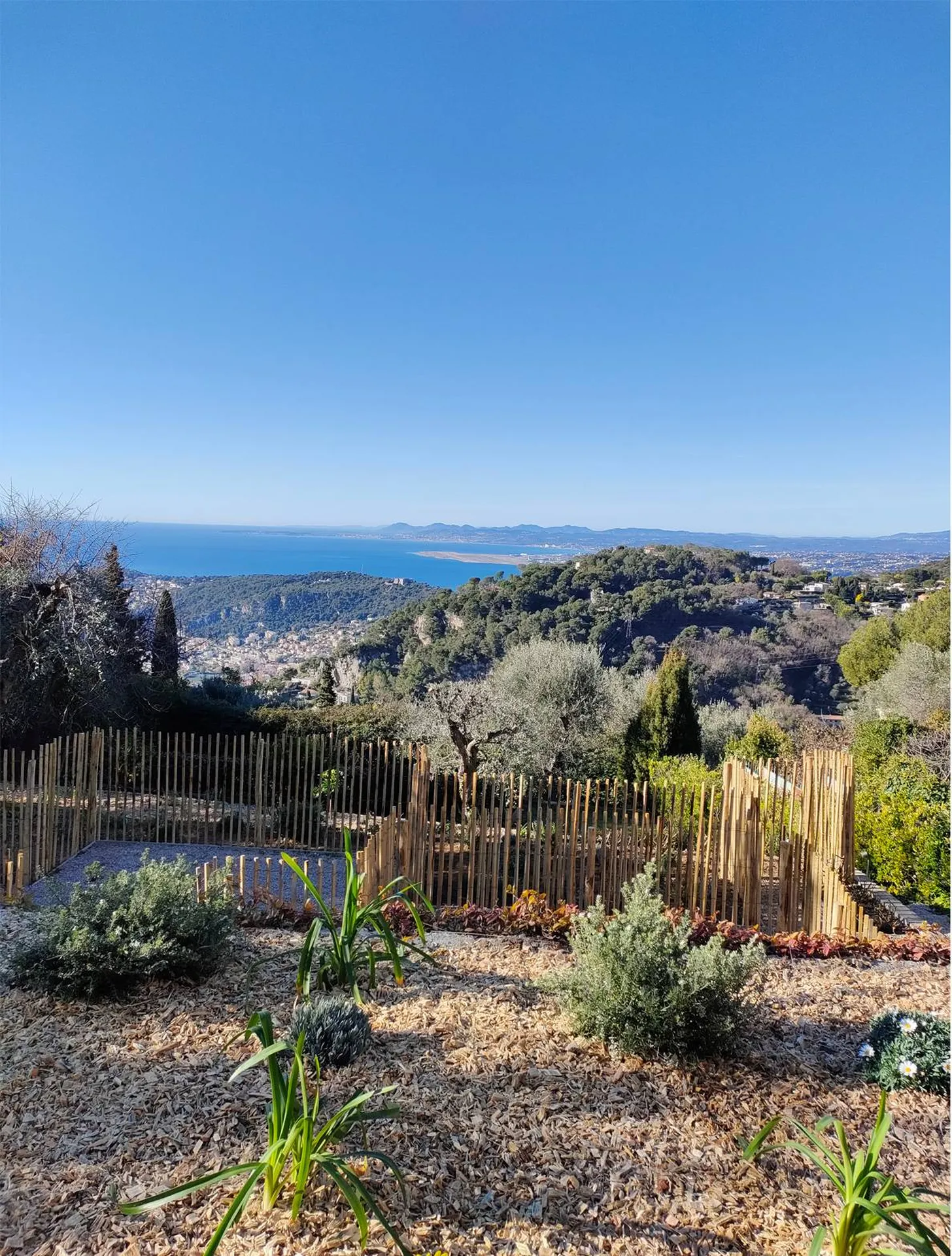 Création de jardin avec plantation et réalisation de potager à Villefranche sur Mer