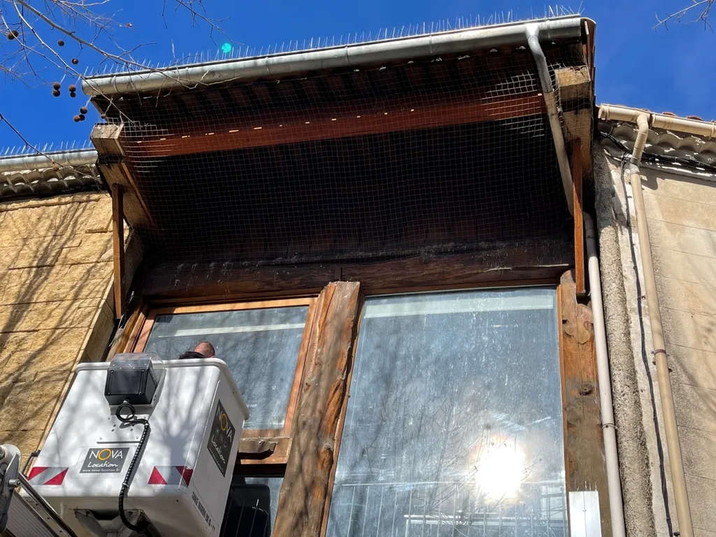 Pose de pic anti pigeon sur un bâtiment professionnel de la Tour d’aigues