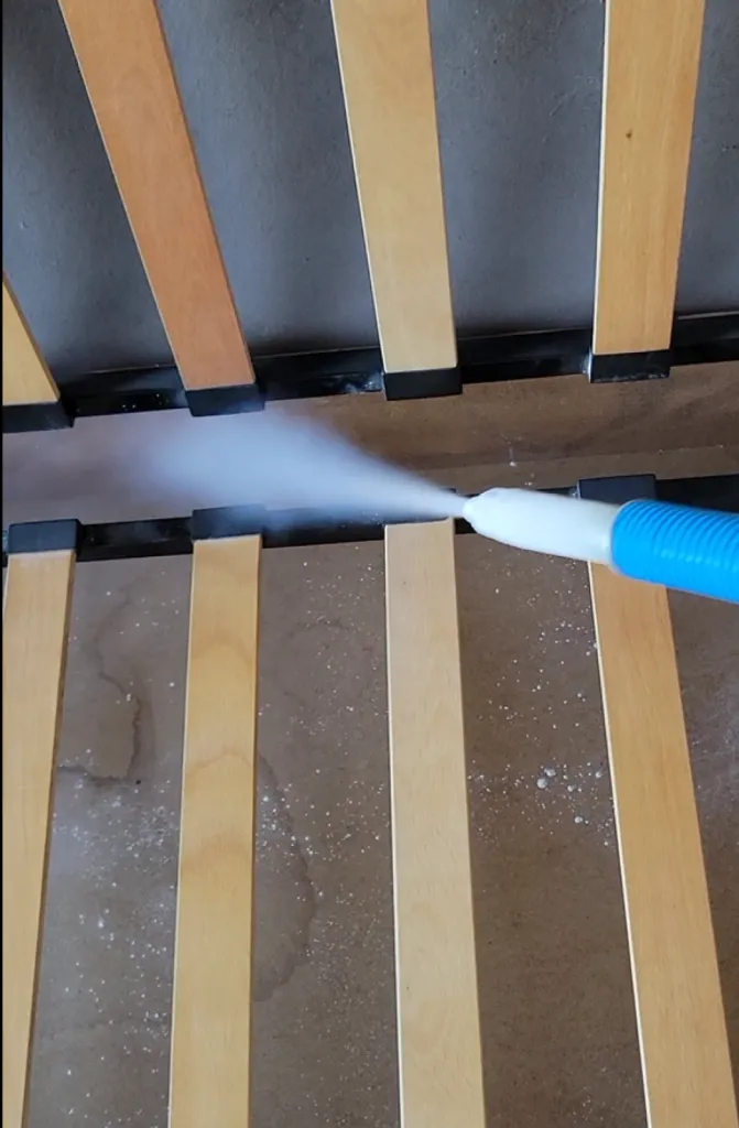 Traitement naturel des punaises de lit par cryogénie sans pesticide à Nice dans les Alpes-Maritimes