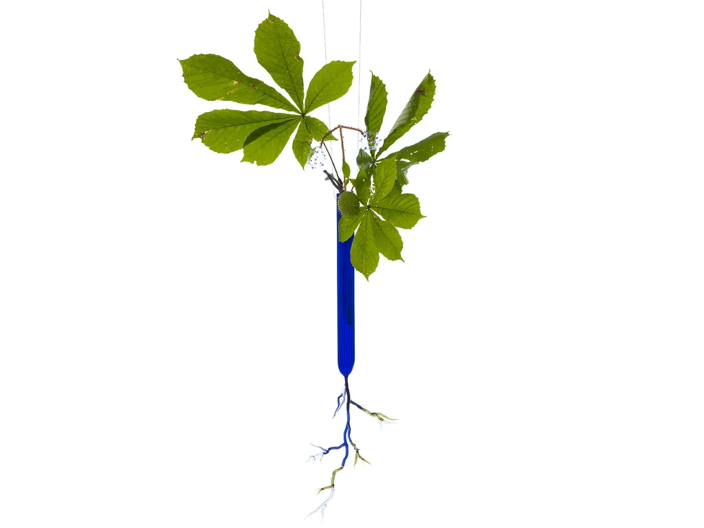 photographe d'oeuvre d'art à Lyon pour le web ou le print