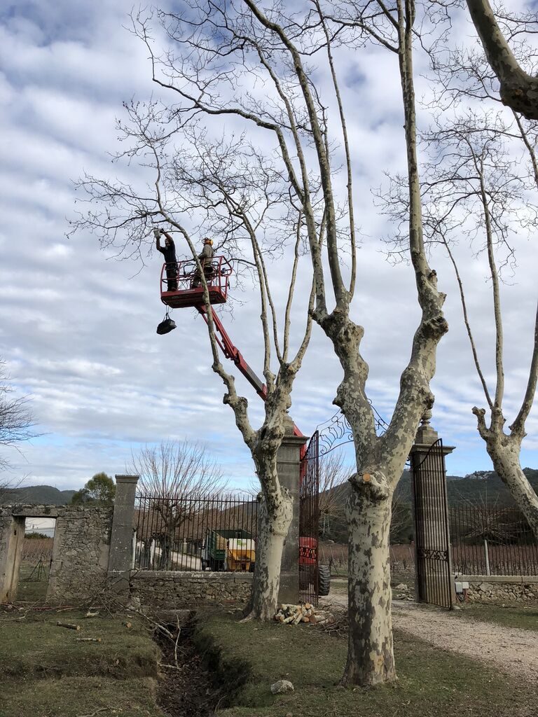 Réaliser vos travaux d’élagage, abattage sécurisé et débroussaillage professionnel pour protéger votre terrain à La Seyne-sur-Mer