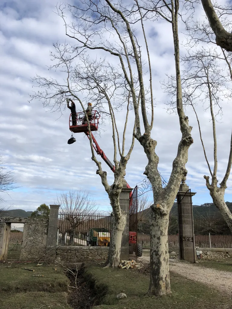 Réaliser vos travaux d’élagage, abattage sécurisé et débroussaillage professionnel pour protéger votre terrain à La Seyne-sur-Mer