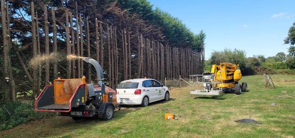 Votre élagueur professionnel dans le Médoc pour tout vos travaux d'élagage