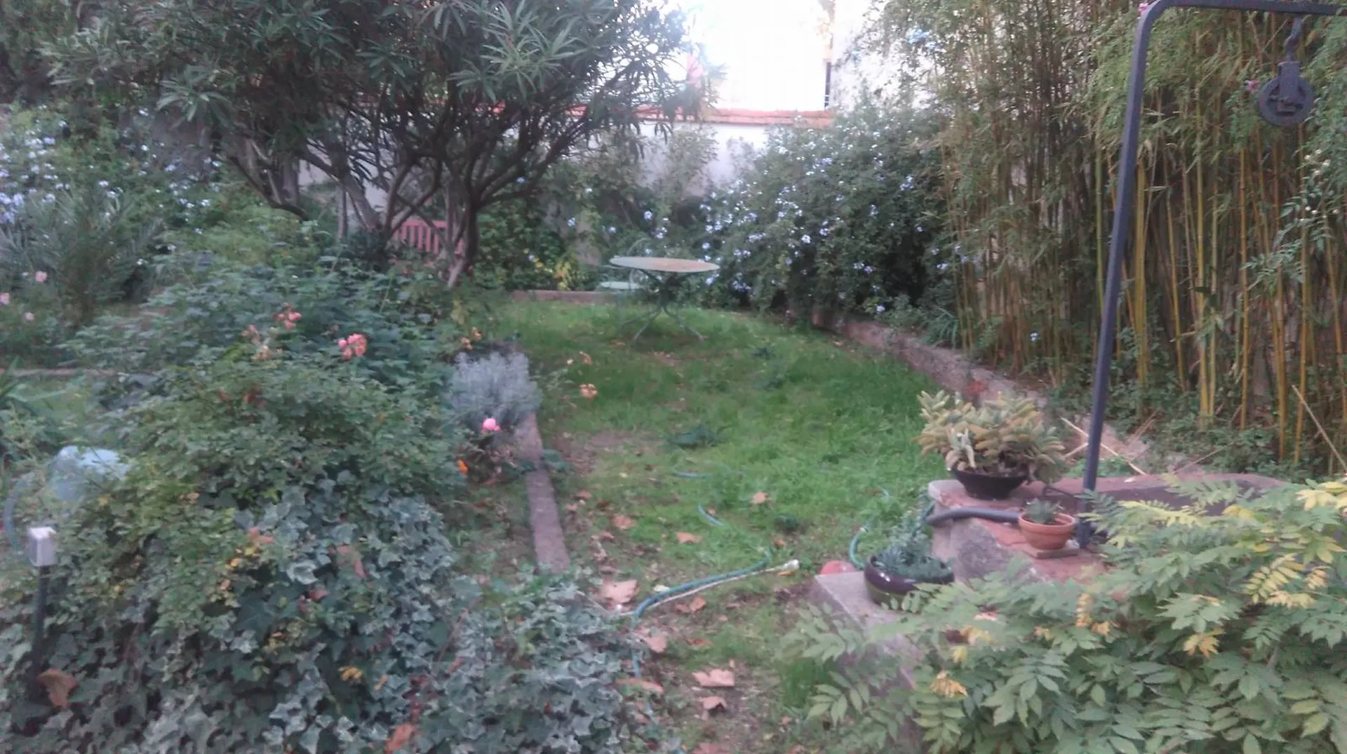 Création de Jardin pour particulier à Marseille