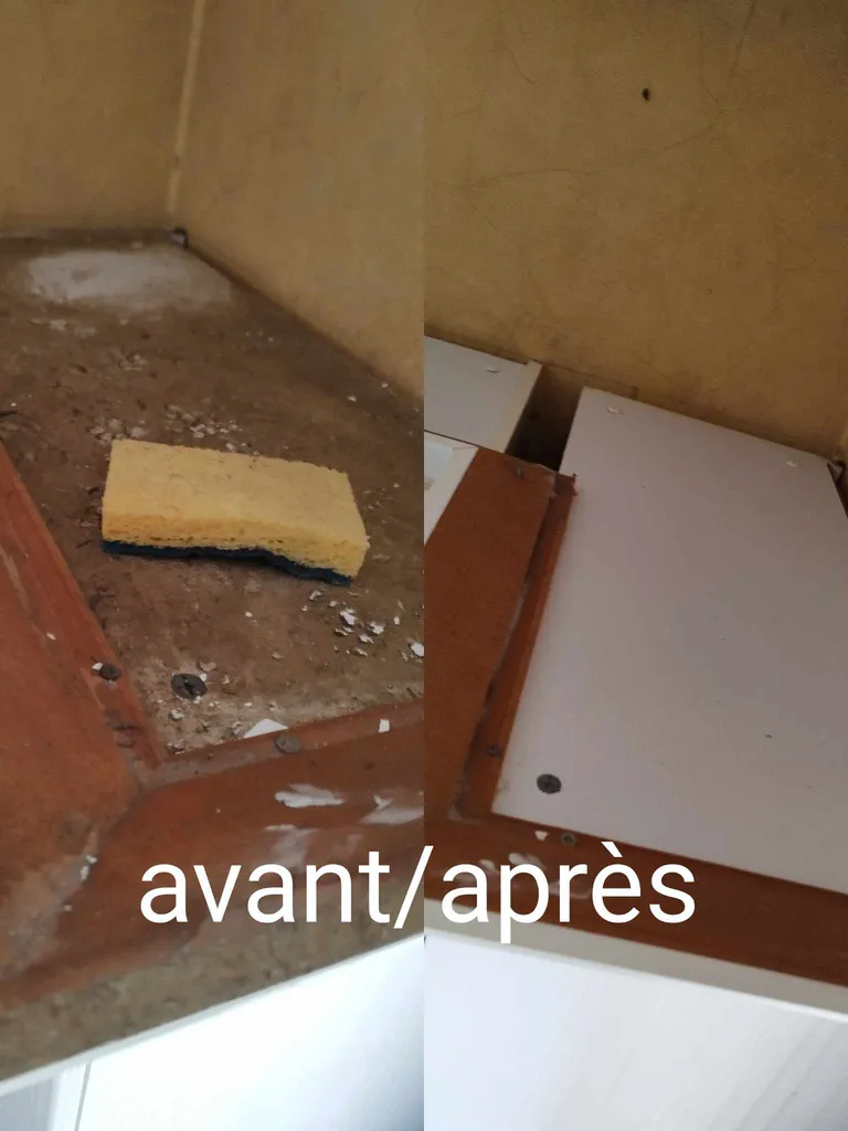 Intervenir pour un nettoyage extrême logement insalubre à Lunel dans l’Hérault