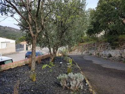 Lit de paillettes d'ardoise