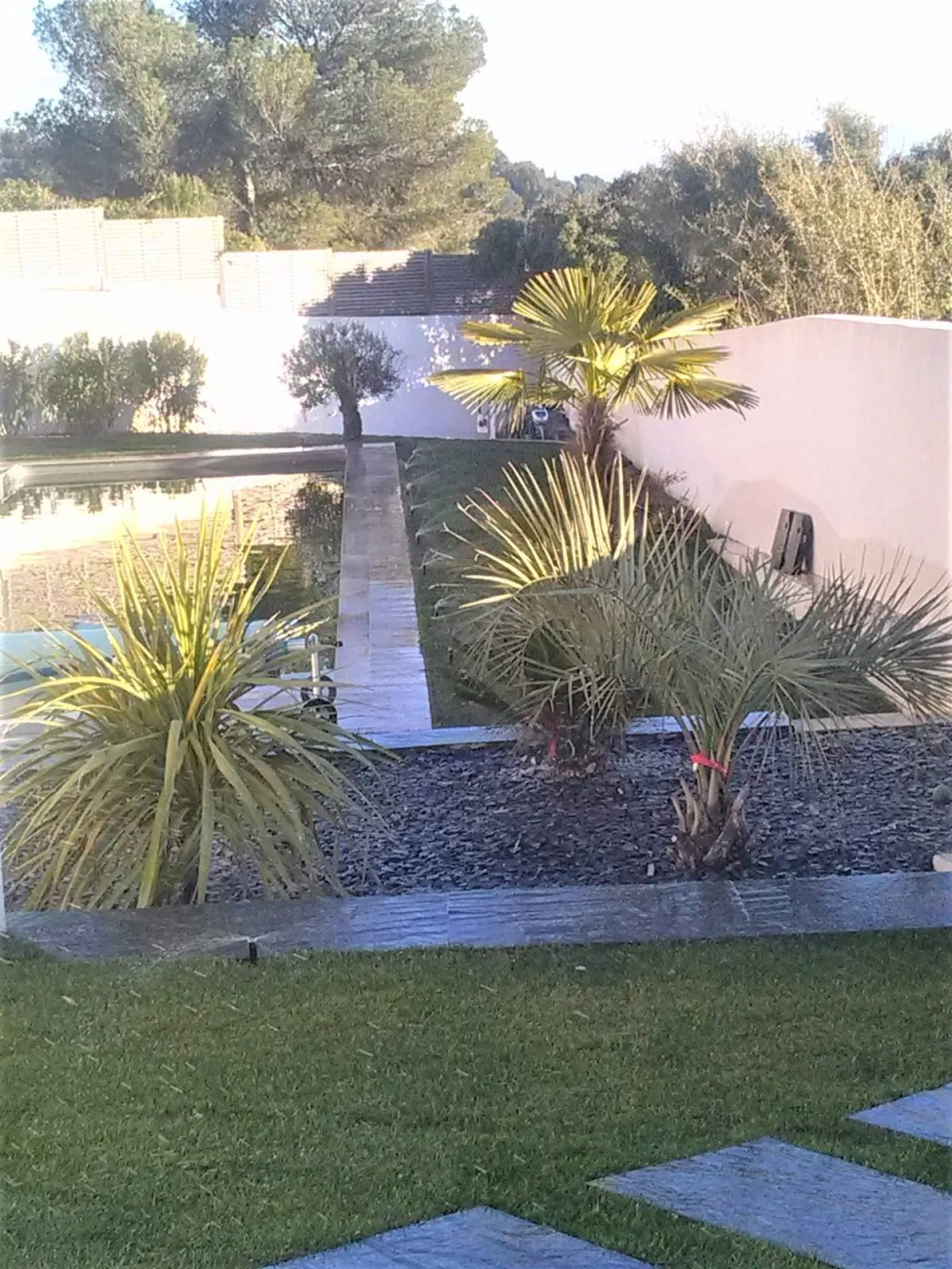 Aménagement d'un jardin contemporain autour d'une piscine à Eguilles 13510 Aménagement d'un jardin contemporain autour d'une piscine à Eguilles 13510