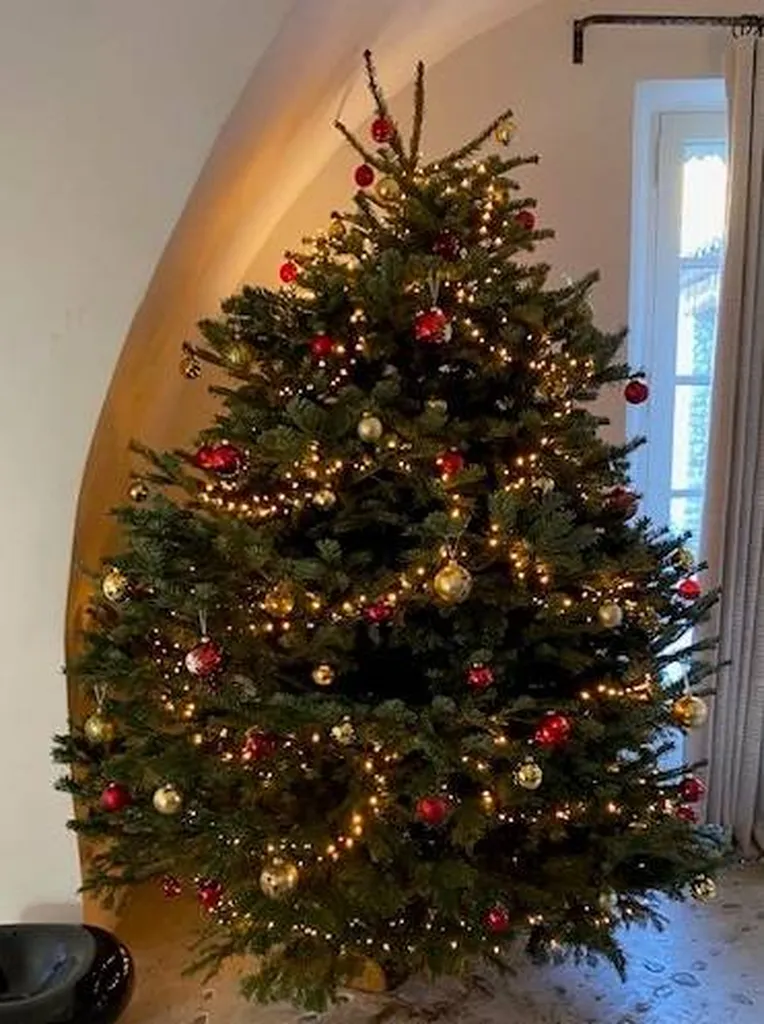 Christmas tree in Provence