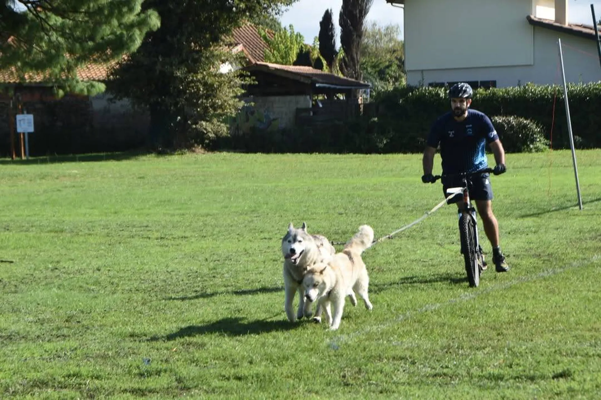 animation bien-etre animal bassin d'arcachon