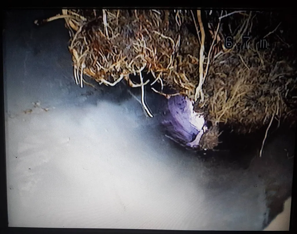 Détection de racines dans une canalisation grâce au passage caméra