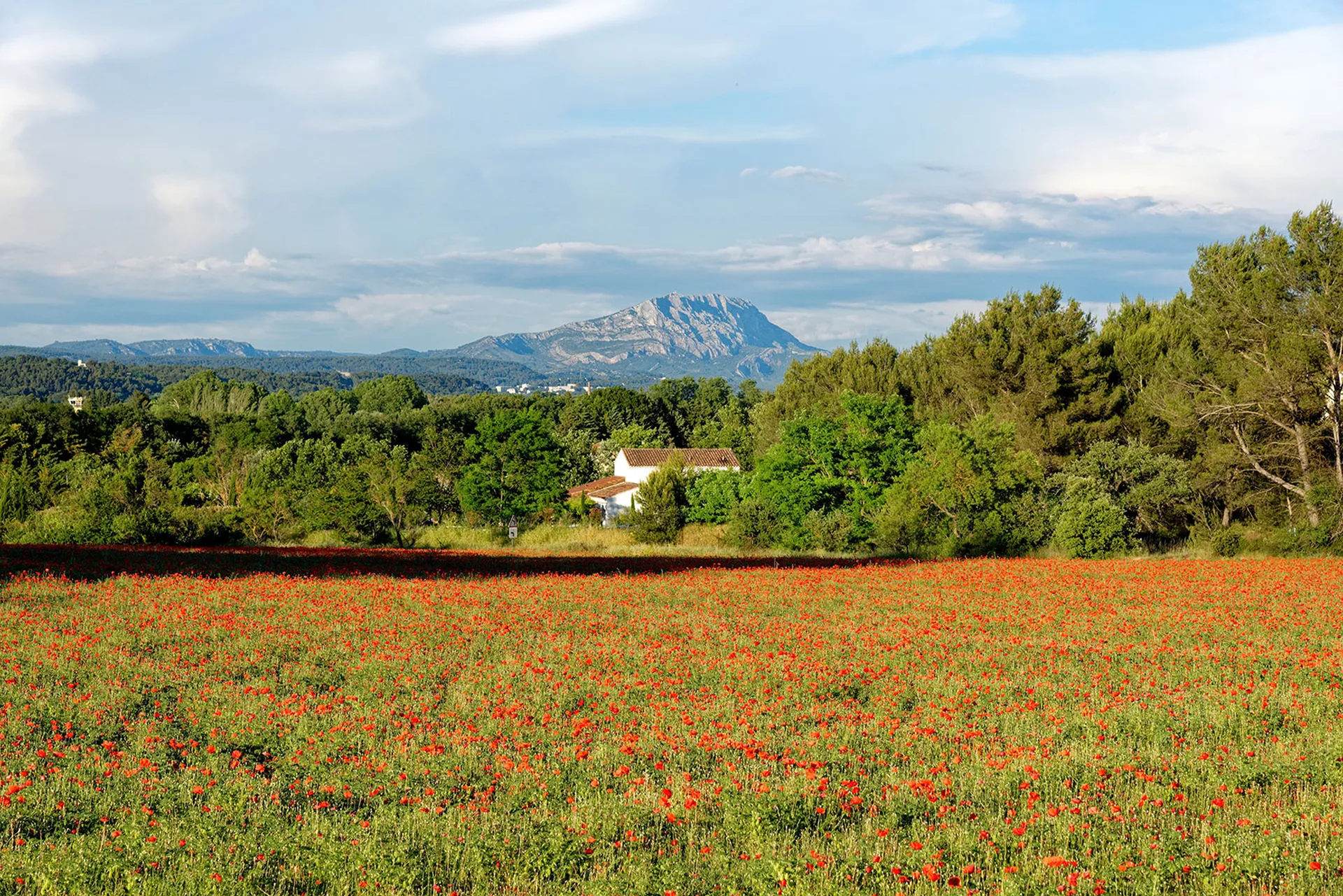 Escapades Nature Randonnée et Panorama Sainte-Victoire à 20mn de Thecamp Hotel à Aix-en-Provence