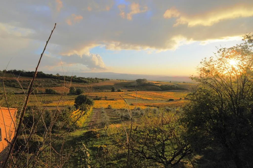 Proche Mont Ventoux , maison de Maître avec piscine au coeur d'un hameau.