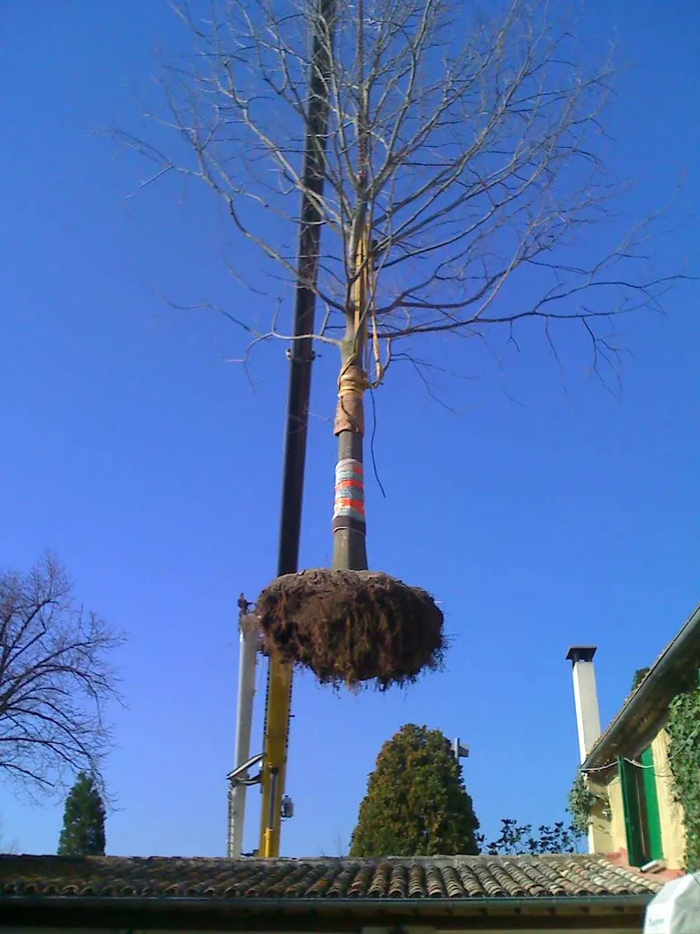 Exemple de grue en cours de déchargement utilisé sur les chantiers dans les Bouches-du-Rhône
