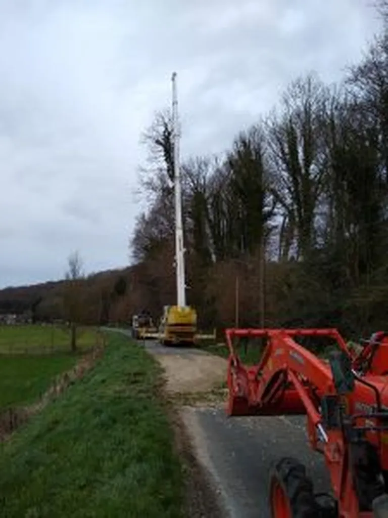 Abattage d’arbres avec grue 60 tonnes à Ganzeville (76400)