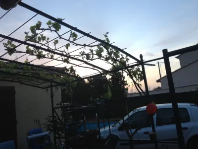 TONNELLE EN FER FORGE AIX EN PROVENCE