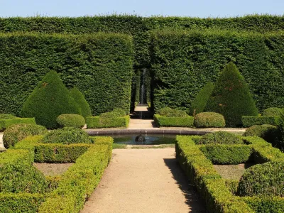 Taille en topiaire pour sublimer un jardin dans le Gard