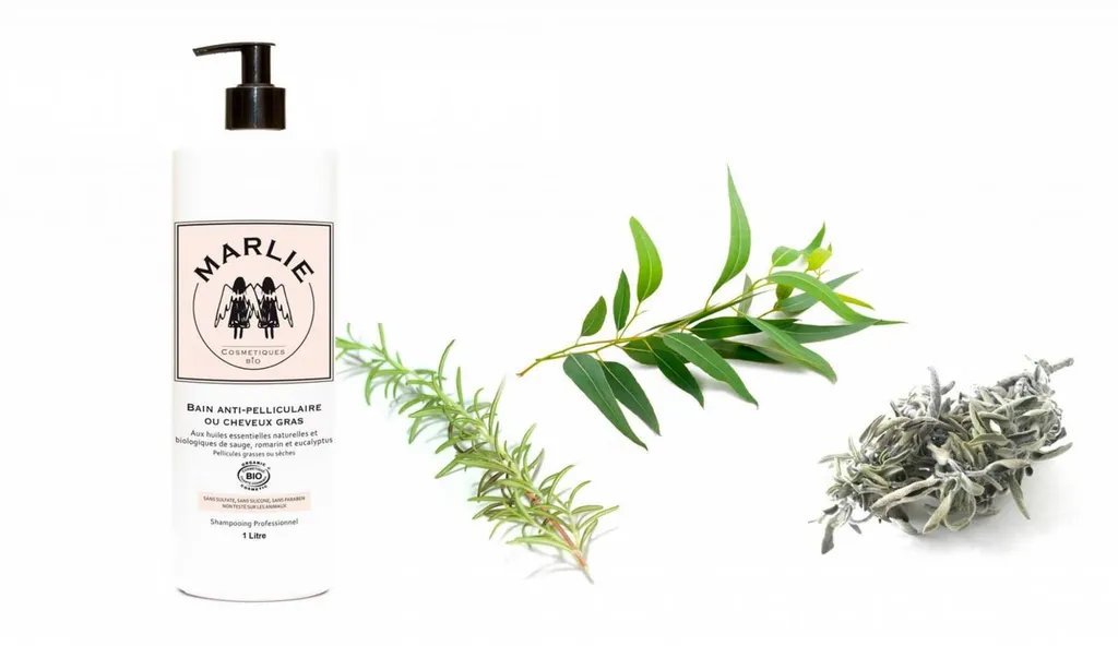 Bain Anti-pelliculaire Cheveux Gras
