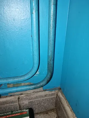 Traitement contre les souris dans un magasin situé dans une zone industrielle de Rillieux-la-Pape