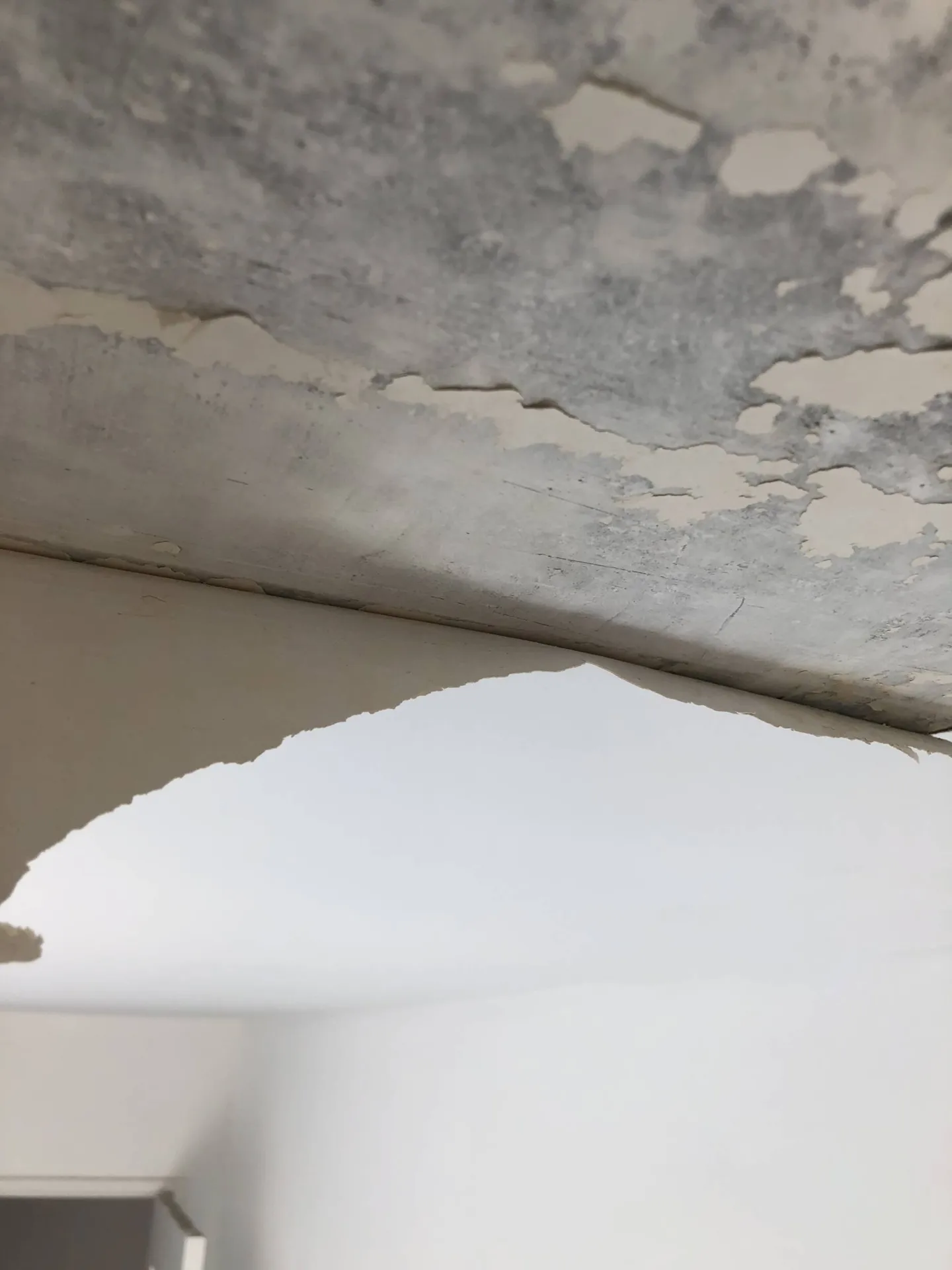 Entreprise de peinture pour tous travaux après dégât des eaux près de Fréjus dans le Var 83