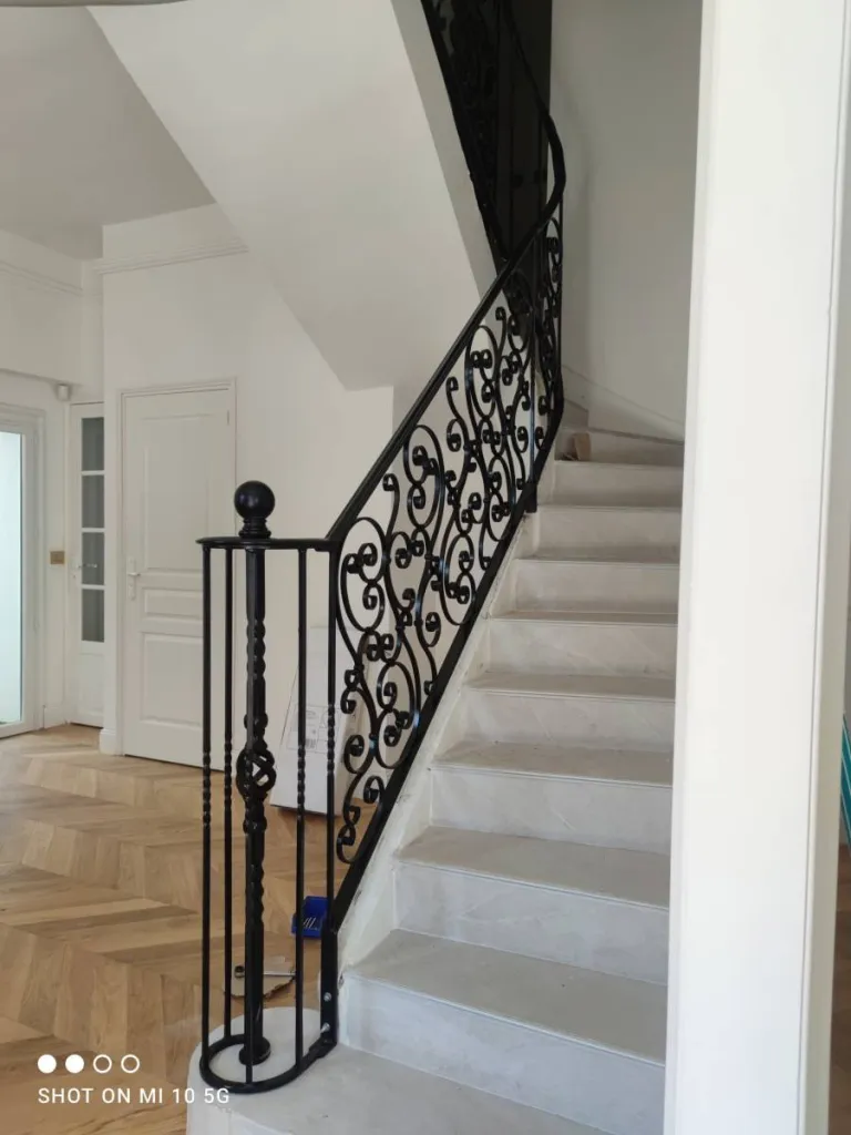 FERRONNERIE D'ART A MARTIGUES GARDE COPRS RAMPANT EN FER FORGE ELABORE  FABRIQUE DANS NOS ATELIERS DE FERRONNERIE A MARTIGUES DANS LES  BOUCHES DE RHONE 