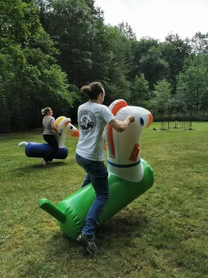 Séminaire au vert avec activités de cohésion et hébergement de charme en Alsace