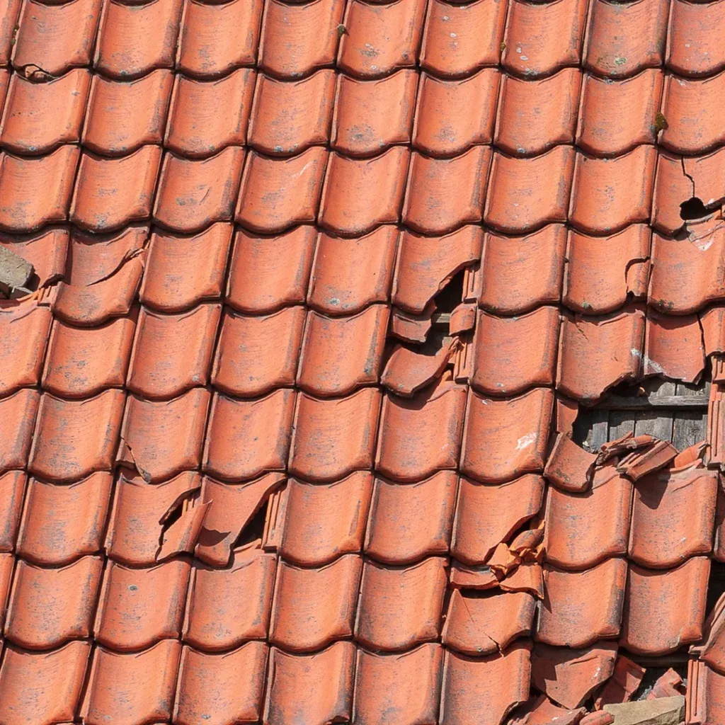 Réparation, toiture qui fuit pau