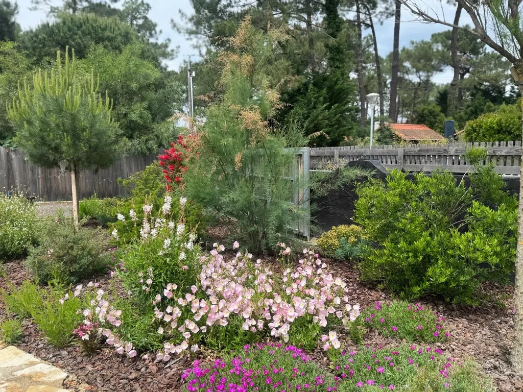 Création de massif paysager avec paillage et plantes variées à Mimizan