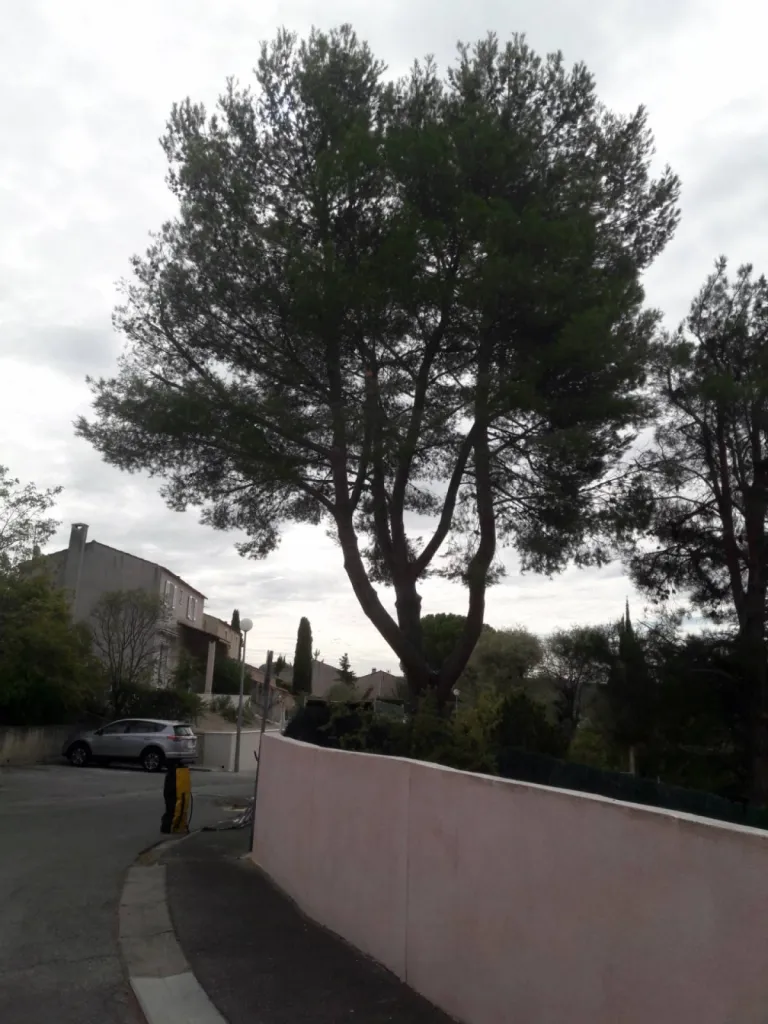 Notre zone d'activité pour ce serviceElagueur à Les pennes Mirabeau près de Vitrolles 