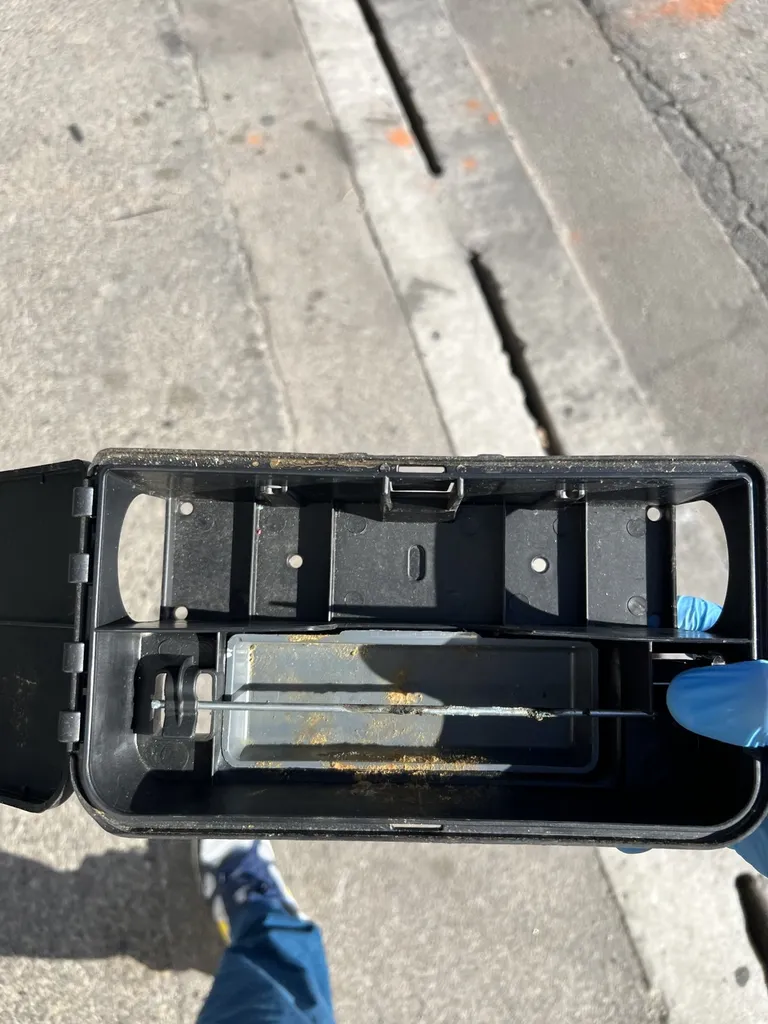 infestation de rats dans un dépôt de Bus à Gardanne - Bouches du Rhones