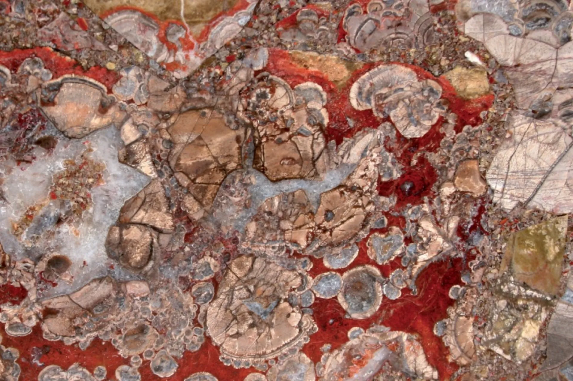 Earth Rhyolite Pierre semi-précieuse