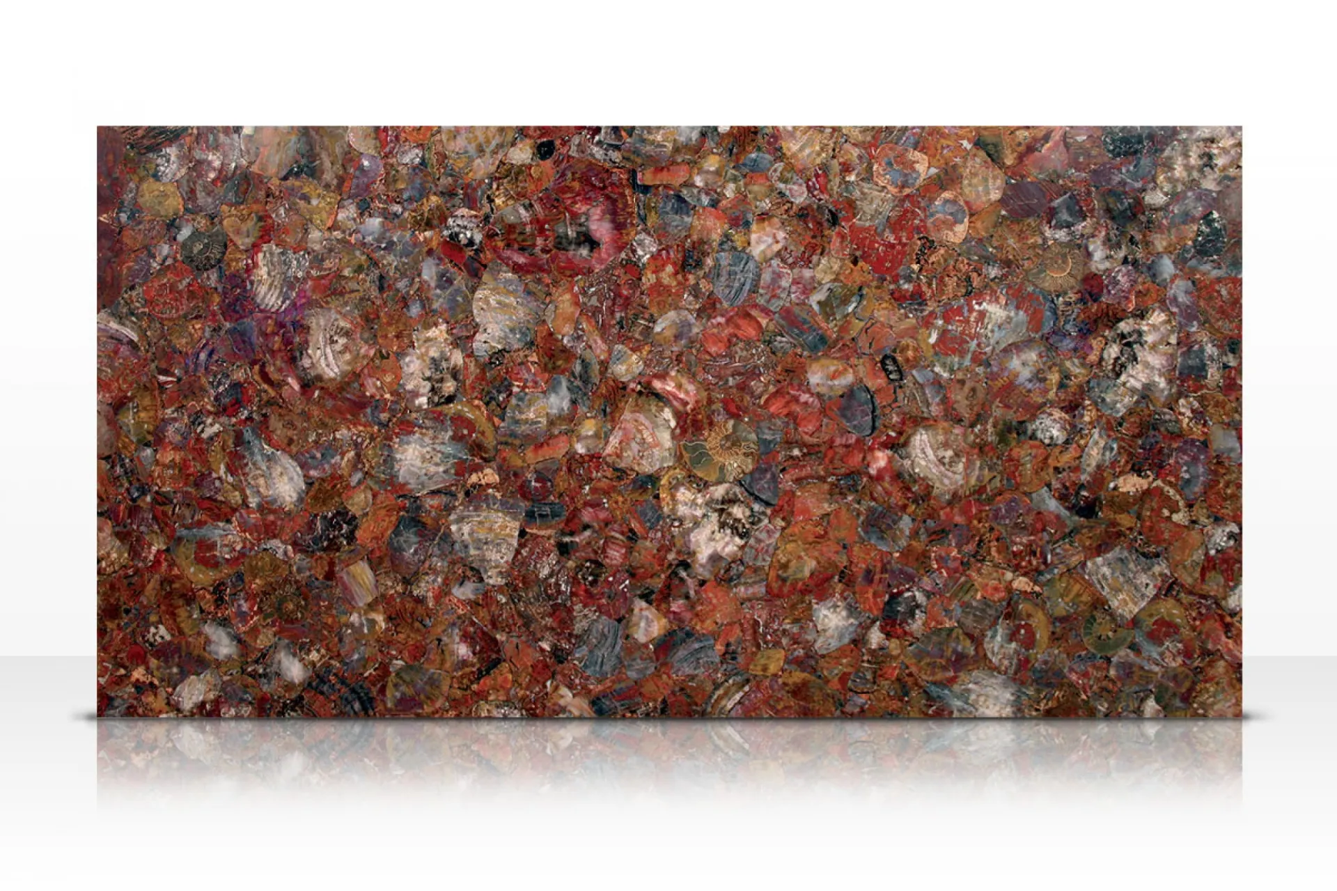 Tranche Multicolor Petrified