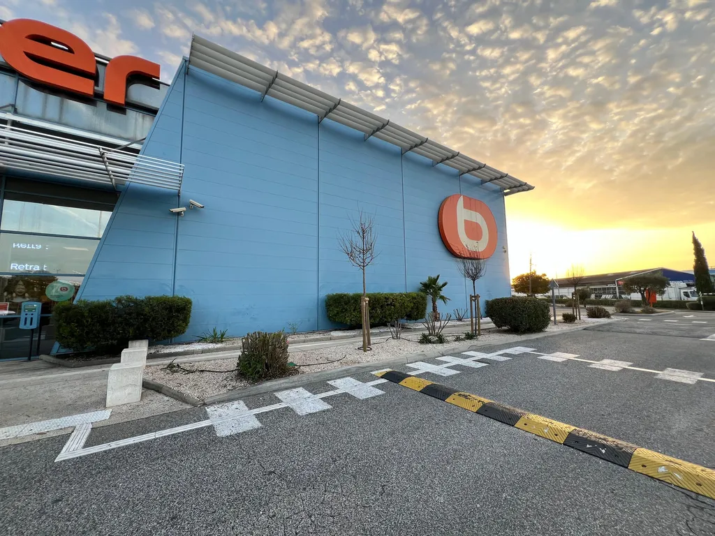 Plantation d’arbres tiges et palmiers avec paillage, arrosage et entretien durable sur site commercial à La Garde