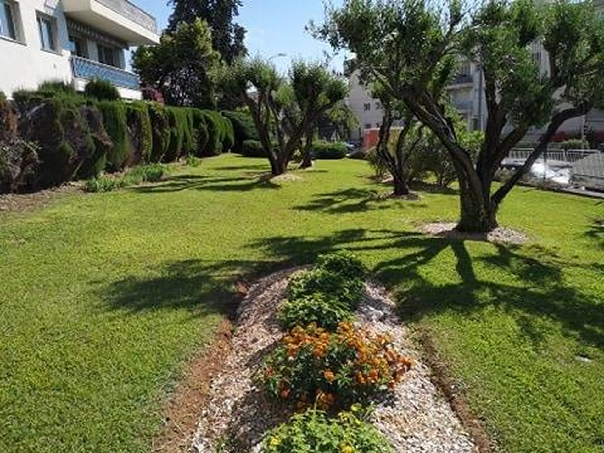 Pelouse tondue dans copropriété à Nice